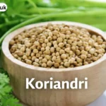 koriandri