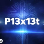 p13x13t